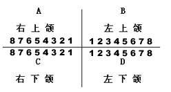 一般临床表示法-牙位置表示法