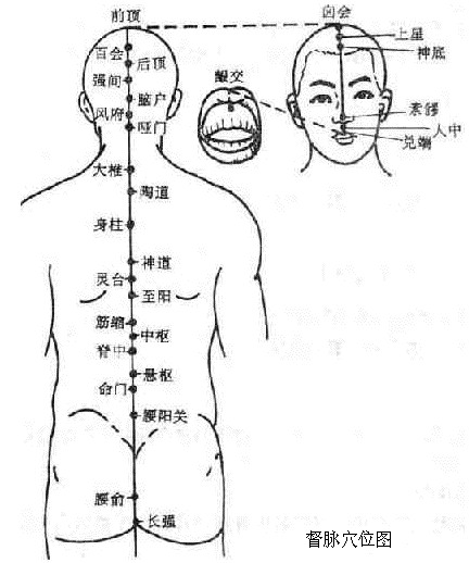 督脉穴位图