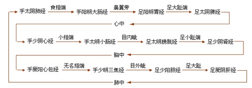 十二经脉的流注次序图