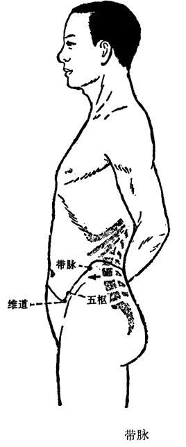 带脉的循行及其生理功能